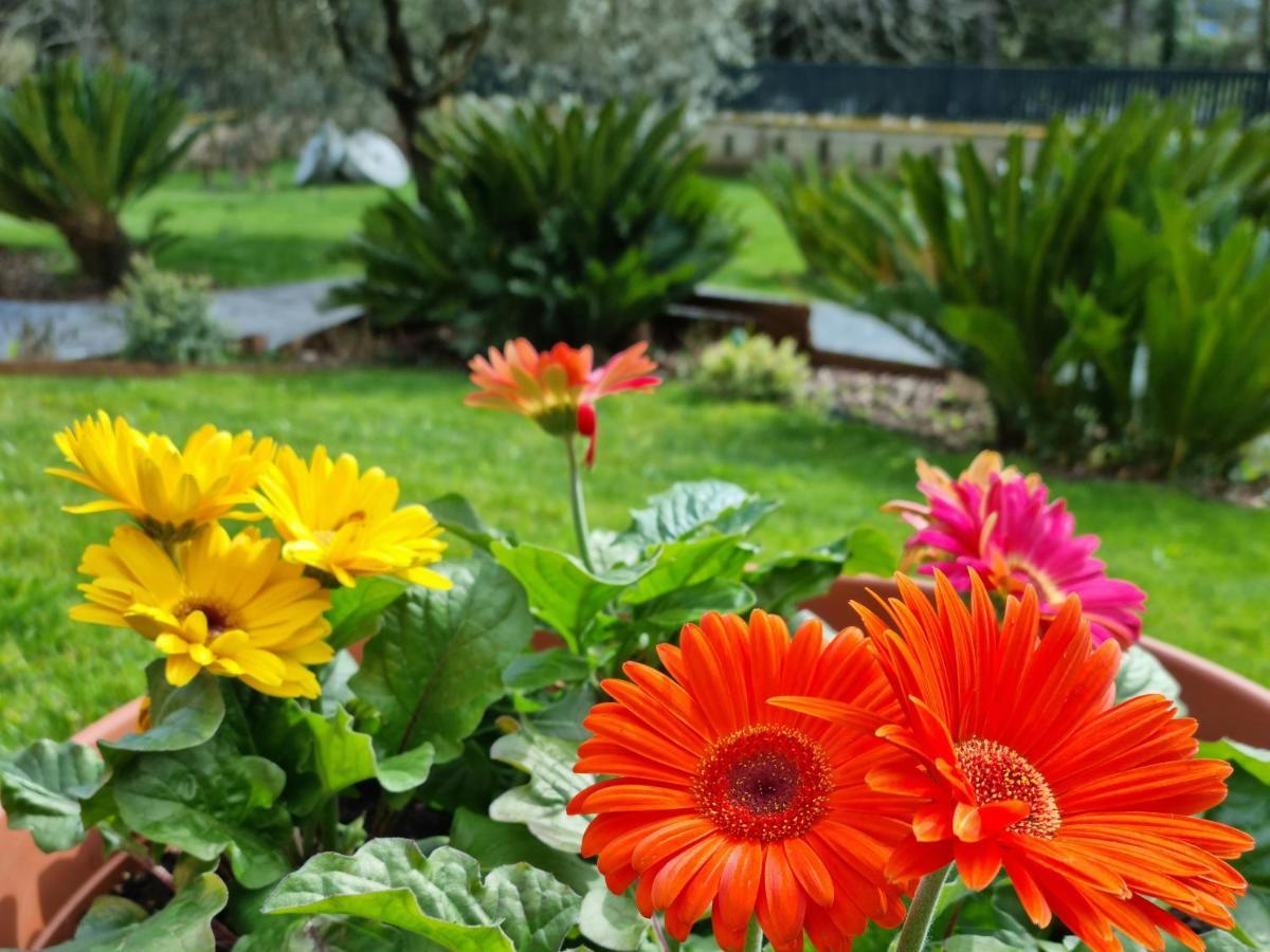 Il Casale Nel Parco Guesthouse Roma Dış mekan fotoğraf